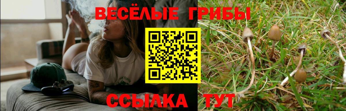 дарнет шоп  Галлюциногенные грибы мухоморы  Вход с VPN  Ярцево 